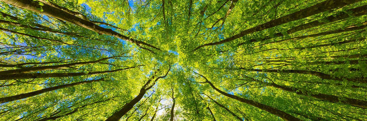 Zhejiang ZAKER New Material Technology Co., Ltd.