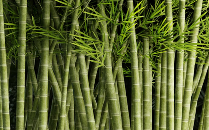 Zhejiang ZAKER New Material Technology Co., Ltd.